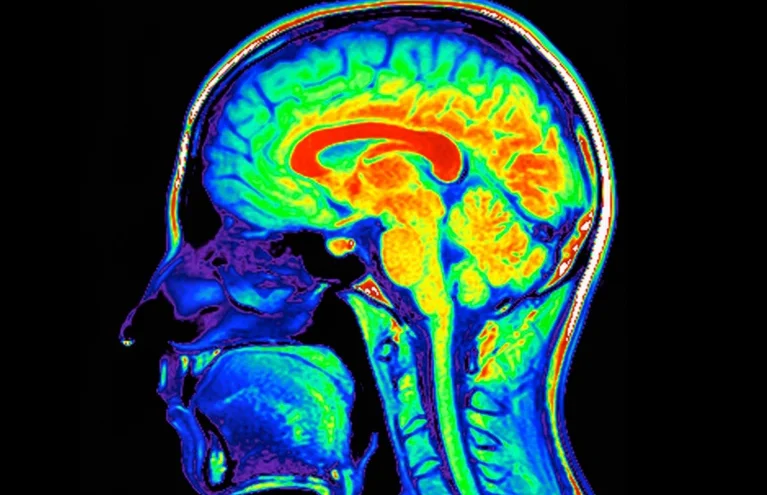 Onderzoek Vagus Nerve en Immuunsysteem
